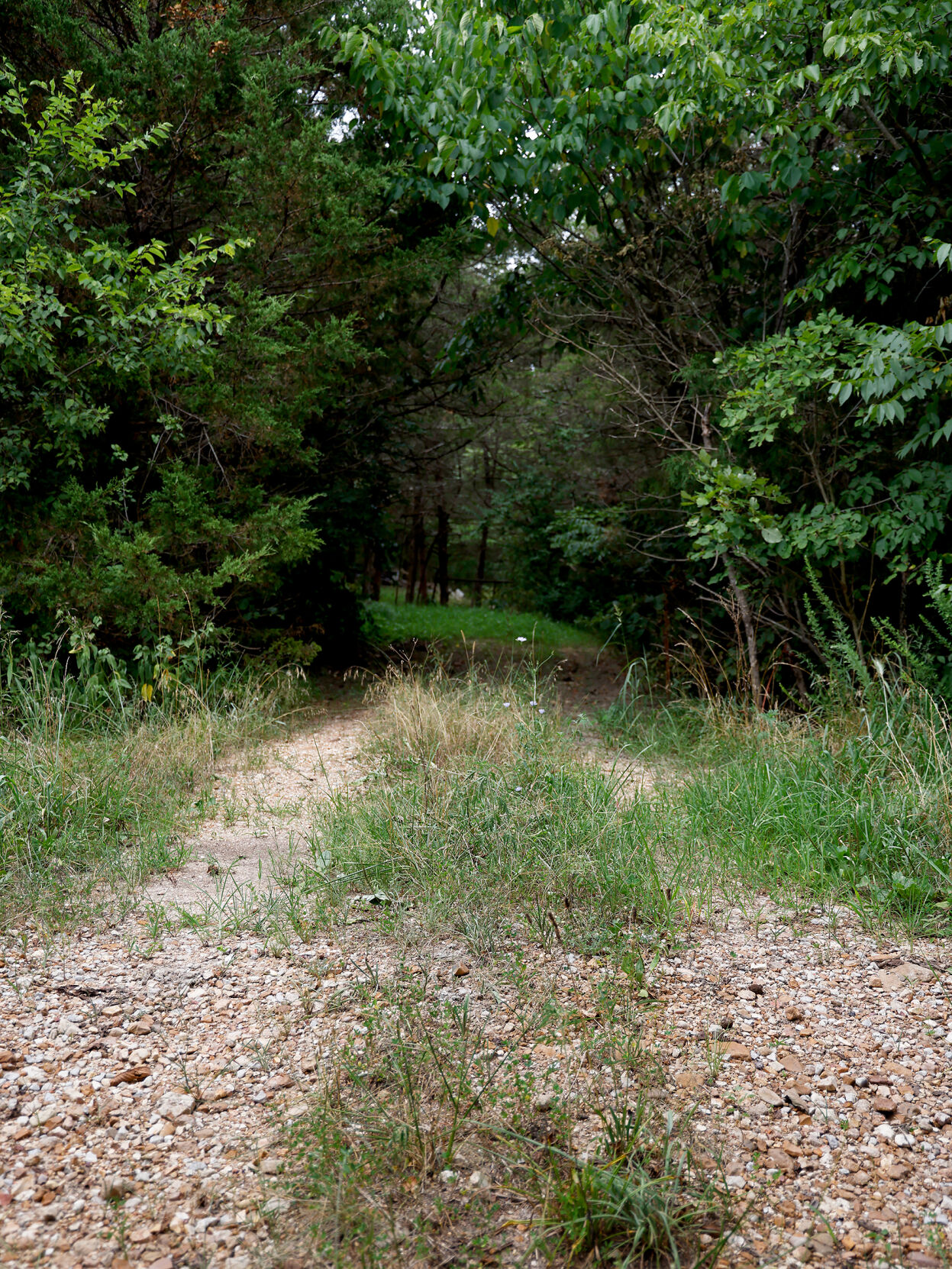 A road shows where the direction of the old truck trail